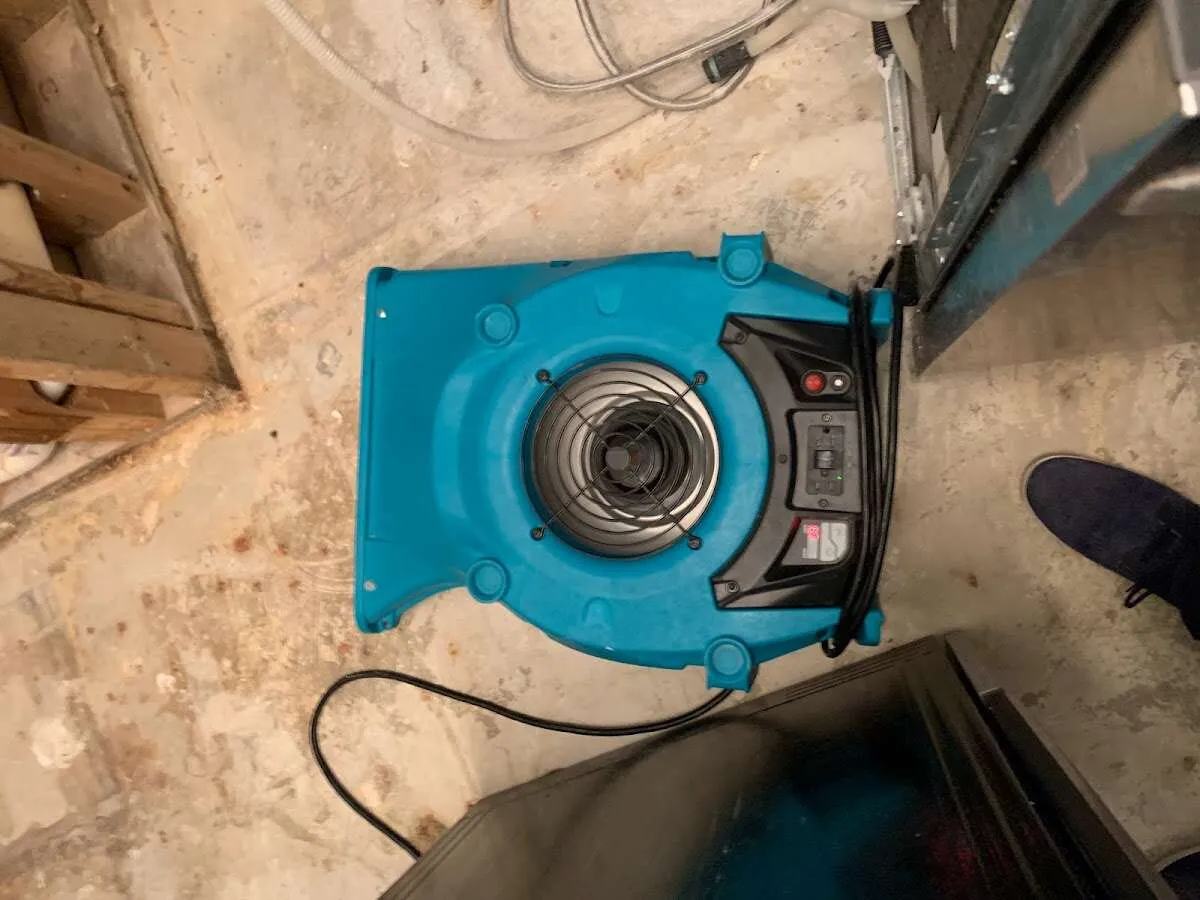Air mover drying equipment for Mold Remediation & Removal in Loganville